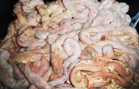 Umpan greenbait dealer contact number : Umpan Kolam Umpan Organ