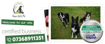 The largest house & pet sitting site exclusively for the uk. Testimonials About Dog Walking Pet Sitting Services