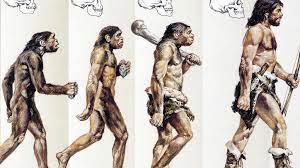 Was kennzeichnet die kelten 3. Baden Wurttemberg Vor 45 000 Jahren Vorfahren Aus Der Steinzeit Wissen Stuttgarter Nachrichten