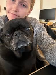 Central Texas Lost & Found Pets