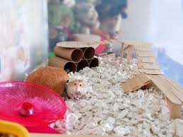 You can purchase the billy extention from the ikea website or in store. 2021 10 Awesome Diy Hamster Cage Inspiration From Reddit
