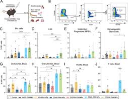 Modular Layer-by-Layer Nanoparticle Platform for Hematopoietic Progenitor  and Stem Cell Targeting
