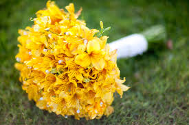 Wedding bouquets of alstroemeria ufl delivery of wedding bouquets from alstroemeria only fresh flowers fast service. Alstroemeria Jenny Lee S Jottings