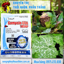 Gamycinusa 185WP