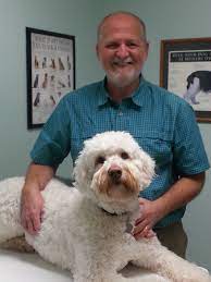 We did not find results for: Molitor Pet Clinic Home Facebook