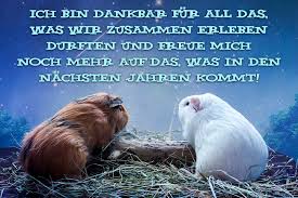 An deinem geburtstag möchte ich dir danken dass du so unglaublich bist emotionale geburtstagswunsche geburtstag wunsche spruche zum geburtstag spruche zum 40 geburtstag. Alles Gute Zum Geburtstag 100 Tipps Spruche Karten