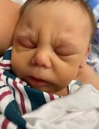 Celine Joy Register Obituary (2024)