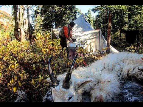 "Unfinished Business" -Part 3- Horseback Mountain Goat Hunting in British Columbia