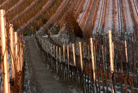 Oferecendo uma churrasqueira, a haus mandelblute está situada em gimmeldingen. Haus Mandelblute Ferienwohnungen In Gimmeldingen Neustadt Wstr Haus Mandelblute