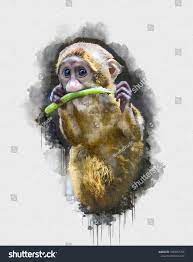 Digital Watercolor Painting Of Monkey Painting Of Beautiful Image Of A Monkey In The Forest Isolat Digital Watercolor Watercolor Paintings Painting Wallpaper