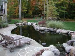 The capacity of your pond will determine how many koi you can place in it. Pond Consultations