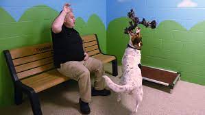 To adopt a pet, please submit an adoption application by following this link. Ames Story County Animal Shelters May Keep Covid 19 Adoption Method
