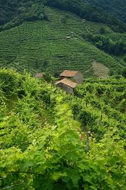 October 30, 2013 at 11:17 pm. Strada Del Prosecco Santo Stefano Di Valdobbiadene Wine Region Natural Landmarks Veneto