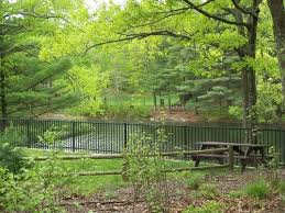 Ttor Rocky Woods Medfield Hiking Etc Rocky Places To Visit Wood