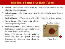 Blood Spatter Powerpoint