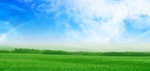 Light green powerpoint background : Blue Sky And White Clouds Green Grass Ppt Background Picture Powerpoint Templates Free Download