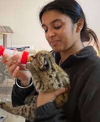 Summer Externship & Fellowships