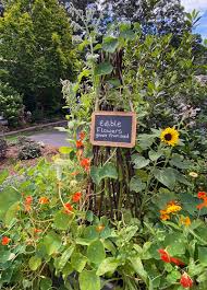 Check spelling or type a new query. Plantrama Plants Landscapes Bringing Nature Indoors Edible Flowers Zucchini Problems And White Specks In Potting Soil