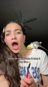 Bringing Your Pet to School: Tips and Tricks