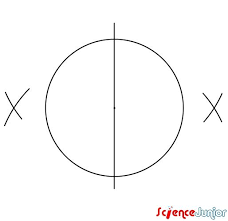 Dessiner Une Rose Des Vents 003 Dessin Rose Rose Des Vents Dessin