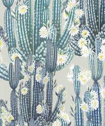 Check spelling or type a new query. San Pedro Wallpaper Cactus Wallpaper Milton King Europe
