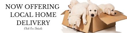 Find opening hours and closing hours from the pet stores & supplies category in madison, wi and other contact details such as address, phone number, website. Madison Pet Shop Shop Now Pick Up In Store Today