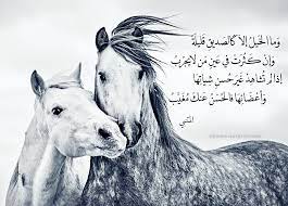 كلام وعبارات عن الخيل وأقوال مأثورة عن الشعراء موقع زيادة