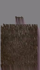 Image result for Swertia pleurogynoides