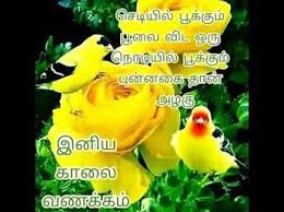 Birthday Song For Brother Mp3 In Tamil 