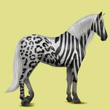 images?q=tbn:ANd9GcQ8Jn2IPbWwhu0CVde3Co38DGtsPhb0m_CcX-vIz6AMbUzUcg4AWA