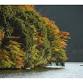 Okada Museum of Art 2025 Autumn Exhibition event image