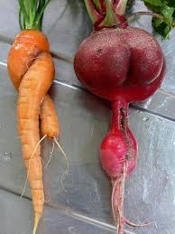 Funny Things Going On In My Garden Funny Vegetables Vegetable Pictures Gardening Humor