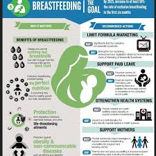 Breastfeeding Infographic Exclusive Breastfeeding Provides