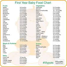 First Year Baby Food Chart Baby Food Recipes Baby Food Chart One Year Baby Food
