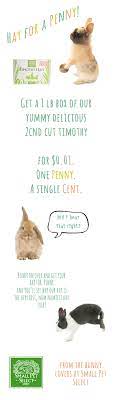 Pin On Just Cute