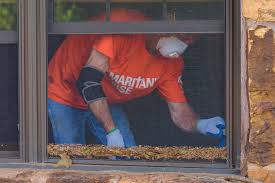 Volunteers Helping in Flooded Oklahoma