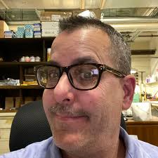 Timber cove monster once upon a time