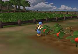 Download harvest moon save the homeland pc. Game Harvestmoon Ppsspp Save The Homeland Magicfasr