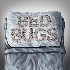 Pest control toledo, united states, pest removal services, critters, extermination, vermin control, rat catcher. Delving Pest Control Toledo Bowling Green Oh Sandusky Ohio