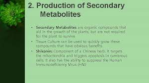 We did not find results for: Applications Of Plant Tissue Culture Group Members Safina