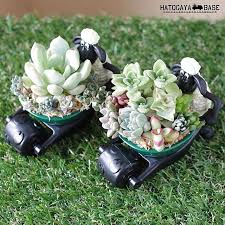 リビング ハンドメイド 多肉植物 マクドナルド ハッピーセット などのインテリア実例 2015 06 18 11 46 14 roomclip ルームクリップ ひつじのショーン 多肉植物 鳩ヶ谷