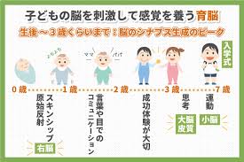 幼児 歩く 脳
