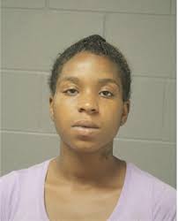 ᐅ Illinois Criminal Records 2009-2025