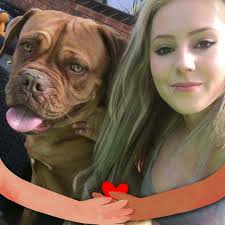 Cejs Boarding kennels & cattery