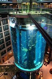 aquadome sea life berlin aquarium unique fish tanks sea life