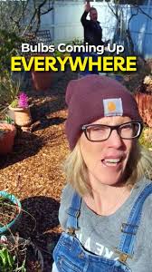 Here in Wisconsin where the nighttime temps can easily be in the high 20's  to low 30's I have to use hardy plants. Spring Container Recipe below:  Hellebore (Frost Kiss Moondance) local