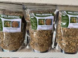 Image result for Rauvolfia vomitoria