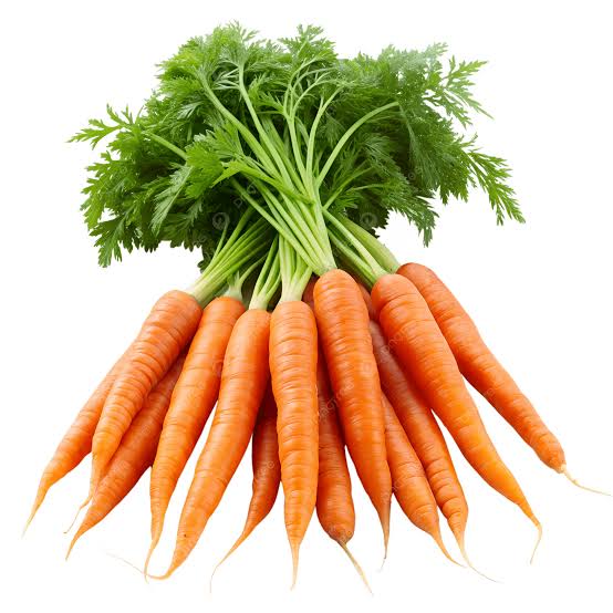 Fresh Carrots