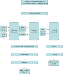 marwadi trenz meaning of tanning about tanning process