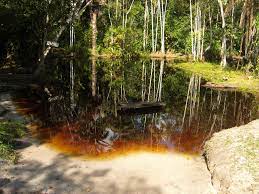 Het kan ook gebruikt worden als dakplaten van hutten, het omrasteren van boerderijen en bij de crematie. Pin Op Hier Was Ik